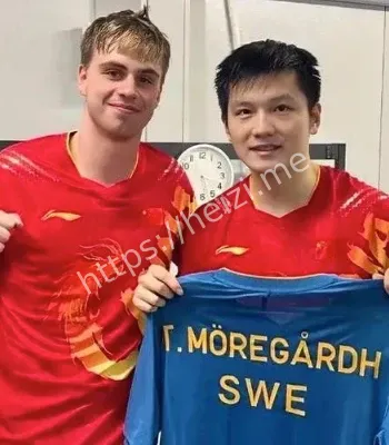 莫雷加德赛后关心樊振东